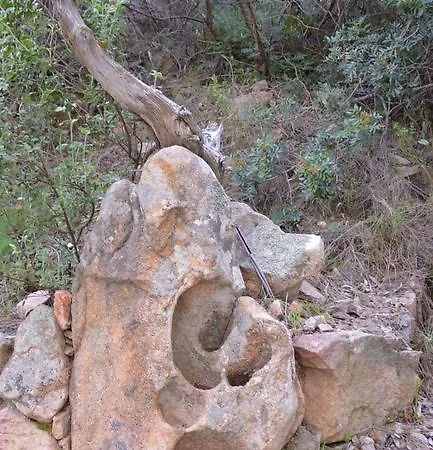 Διαμέρισμα S'accodoro