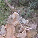 Apartmán S'accodoro