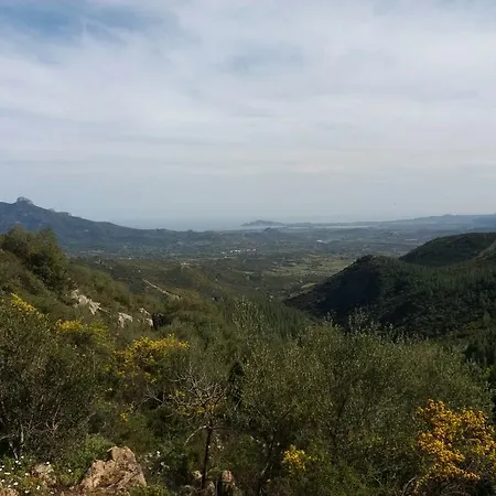 S'accodoro